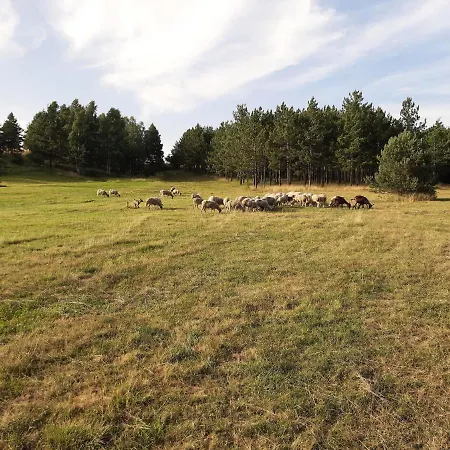 Vila Gorica Ξενοδοχείο Divčibare